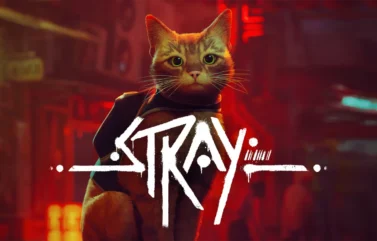 Stray