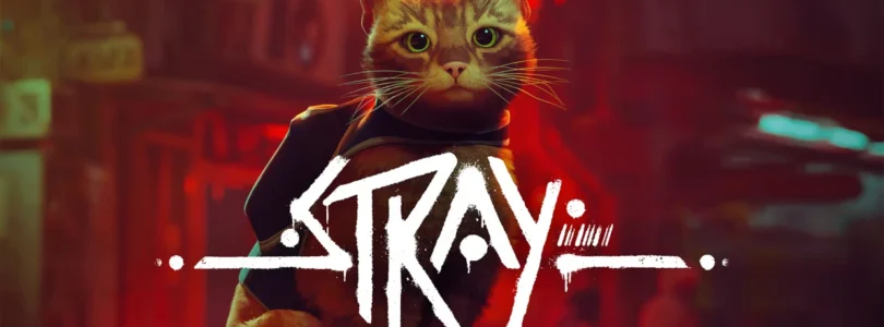 Stray