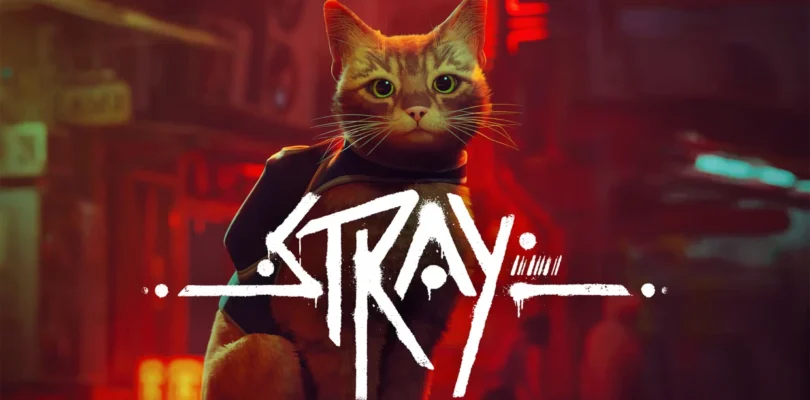 Stray