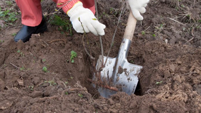 Shovelware, begone! Sony removes hundreds of games from the PS Store