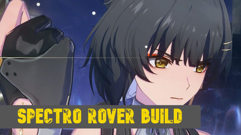 Wuthering Waves | These are the top 3 Rover builds for your best playthrough